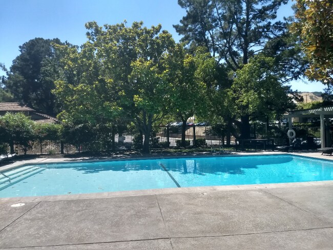 Photo - 1930 Camino Verde Apartment