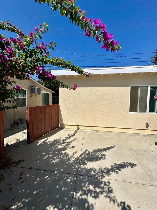 Back Entrance - 527 King St