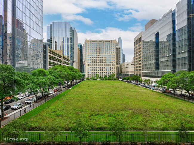 Building Photo - 680 N Lake Shore Dr