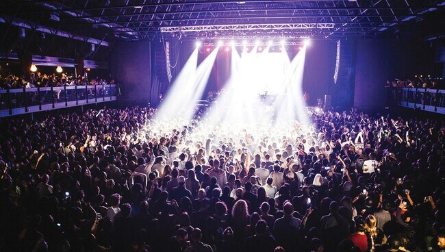 Building Photo - Go bananas, Studio