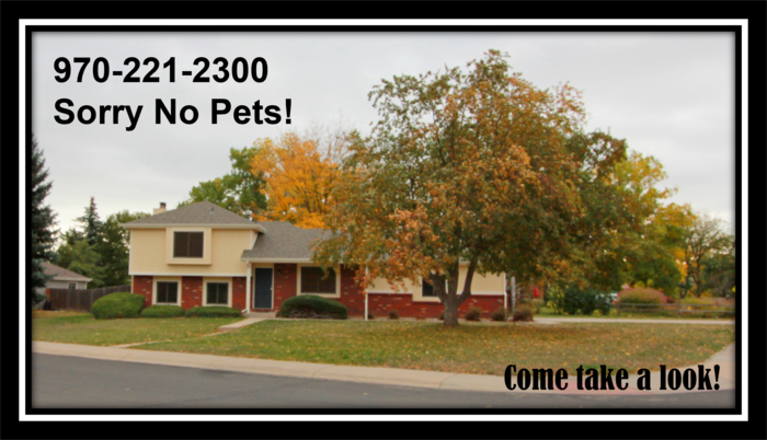 Primary Photo - Huge Yard and Updated Home