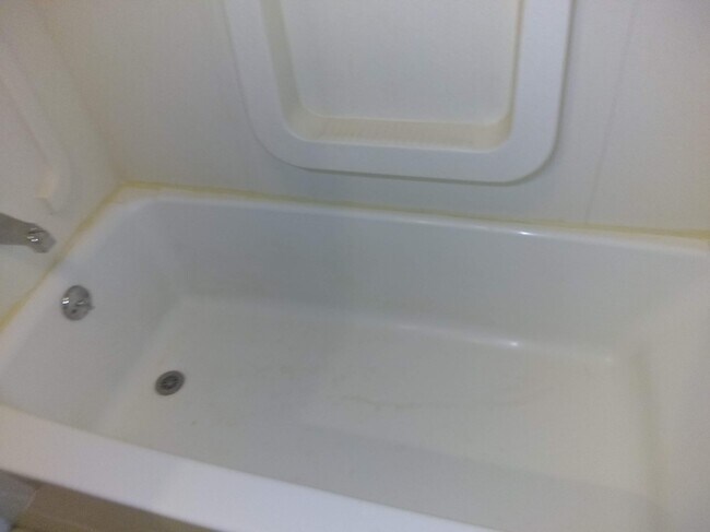 Bath Tub - 5049 Lindenwood Ave