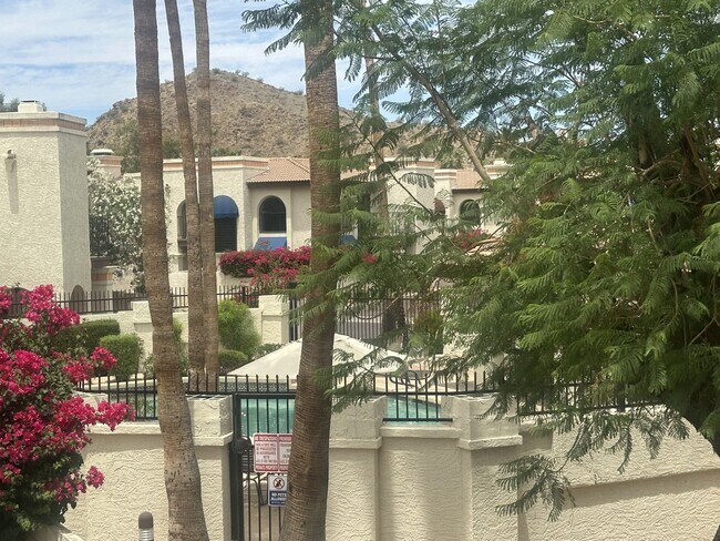 Building Photo - Point South Mountain; Located in the highly desirable Point South Mountain Community, resort styl...