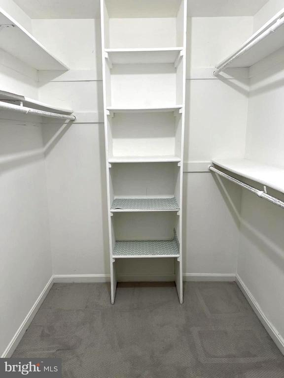 Building Photo - 10205 Ashbrooke Ct