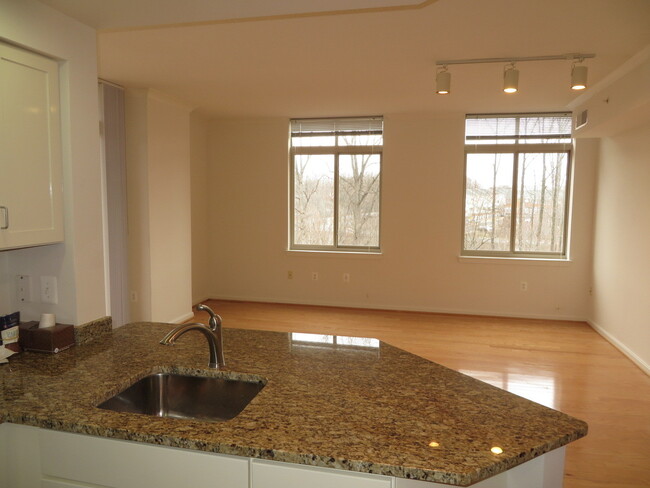 Building Photo - Elan: Great Luxury Condo at East Market! W...
