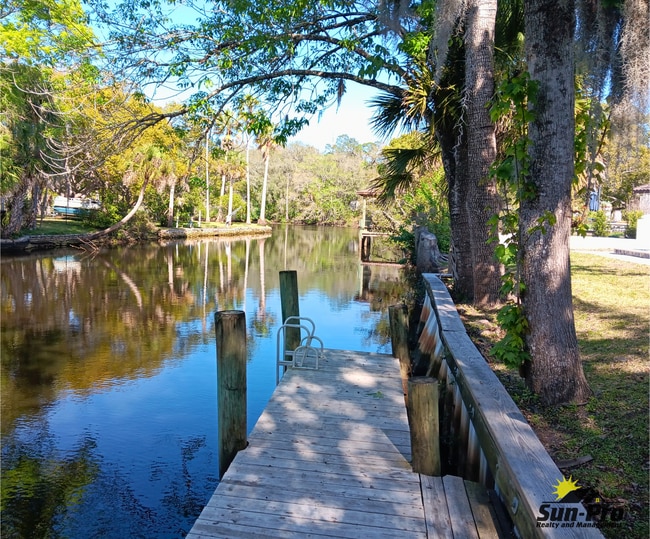 Photo - 9 Waterberry Cir House