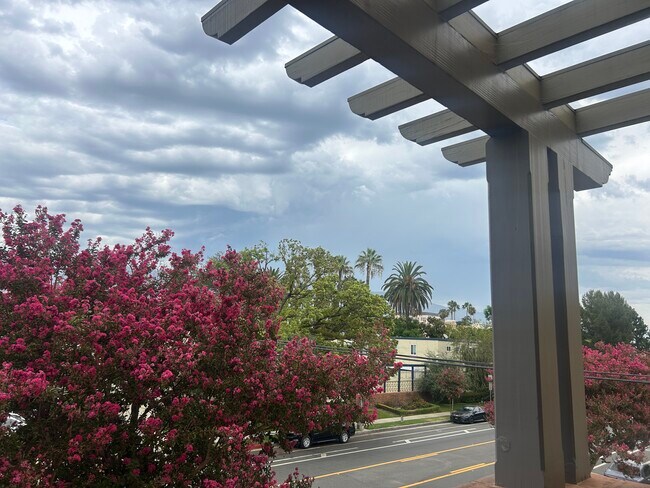 Foto del edificio - Los Patios De Cordova 218 S Oakland Ave