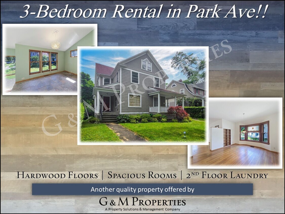 Primary Photo - Fantastic 3-Bedroom Rental on Park Ave!