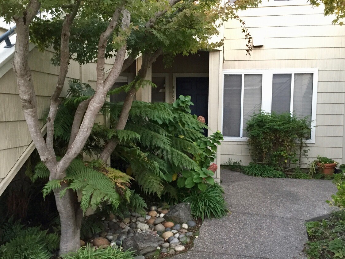 Front Entrance - 2103 Stonefield Ln