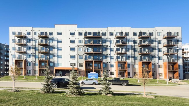 Building Photo - Baydo Plaza