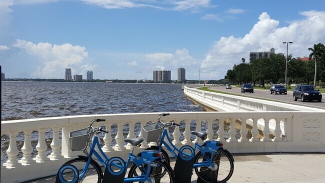 Bayshore Blvd. - 909 South Rome Avenue