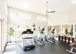 The fitness center at Evergreen at Hickory Grove in Chattanooga, Tennessee, is a bright and well-appointed space designed to support an active lifestyle. The room features soaring ceilings that lend a spacious, open-air feel, enhanced by a sleek ceiling fan that keeps the environment comfortable during workouts. A band of clerestory windows lines the upper walls, while large floor-to-ceiling glass doors and windows wrap the lower perimeter, flooding the space with natural light and offering expansive views of the surrounding greenery. The result is an airy, inviting atmosphere that makes exercising feel connected to the outdoors. The flooring is finished in durable, dark rubber gym matting, providing both safety and a clean, professional aesthetic. Cardio equipment is the focus of the space, with multiple treadmills and elliptical machines positioned to take full advantage of the outdoor views. A wall-mounted television is available for entertainment during workouts. The crisp white walls and minimalist design keep the space feeling clean and modern. Together, these features make the fitness center a functional and welcoming amenity for residents of Evergreen at Hickory Grove.