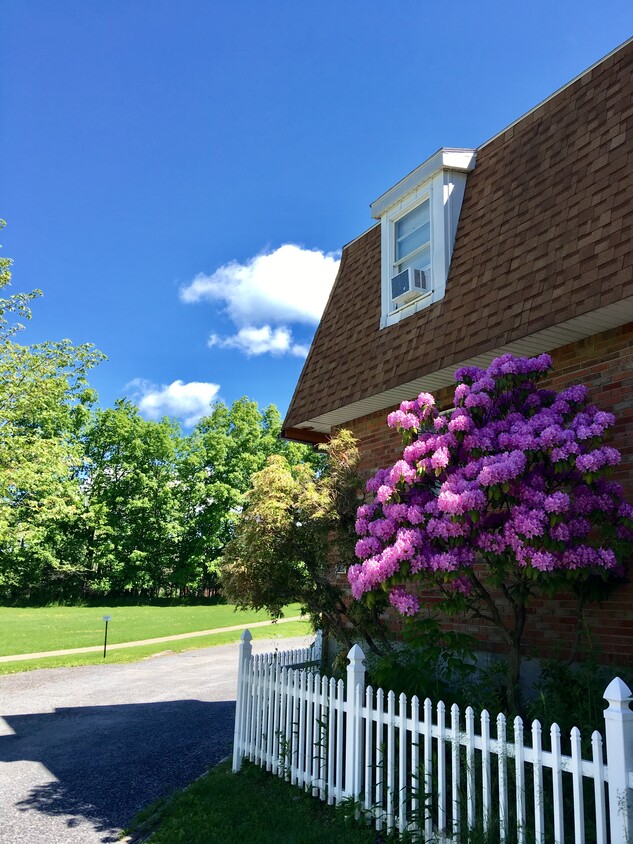 Quite and park like setting - 426 Winthrop Dr