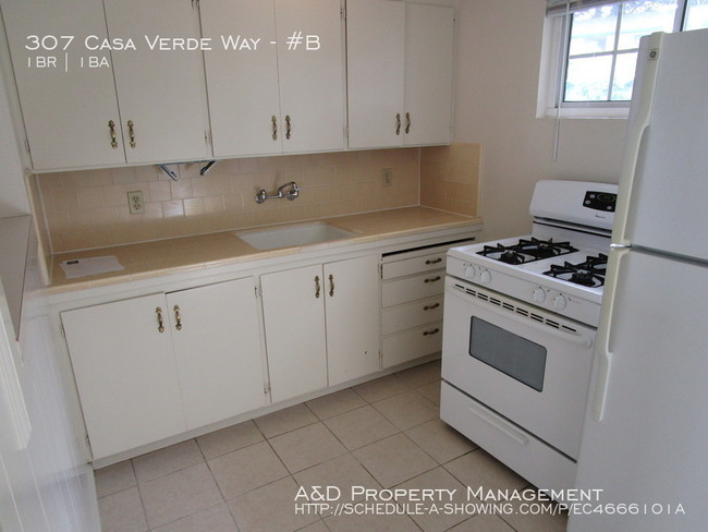 Building Photo - 307 Casa Verde Way