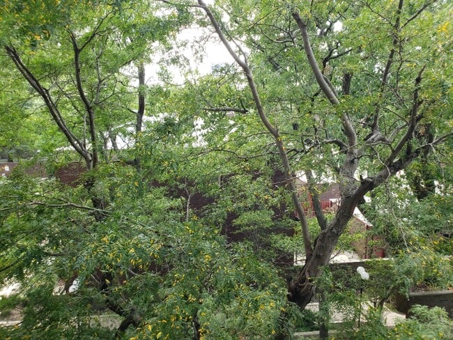 Photo - 2605 S Indiana Ave Apartment