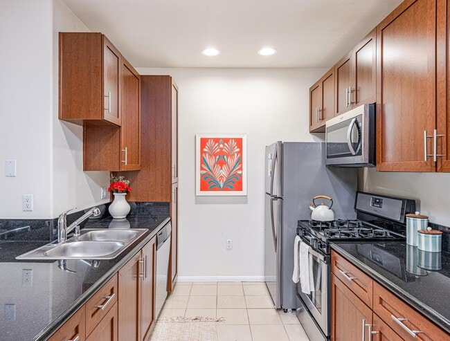 Stainless Steel Kitchen Appliances - The Lorenzo