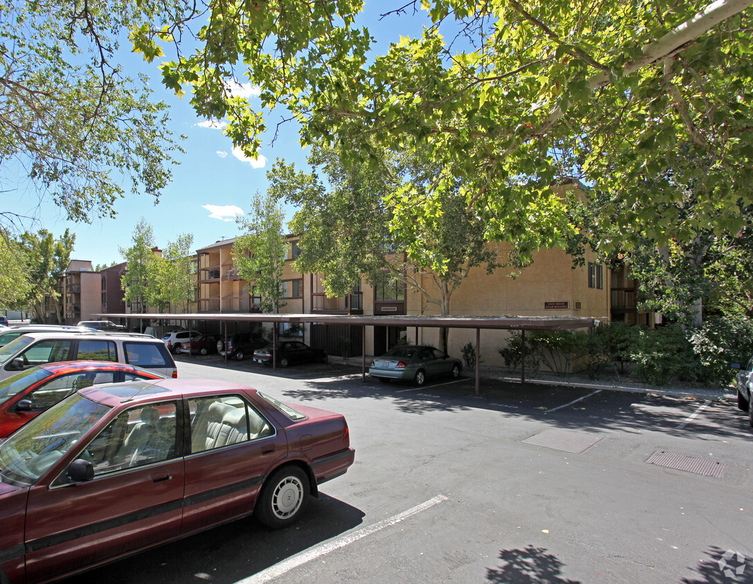 Primary Photo - Lakeside Plaza Condominiums