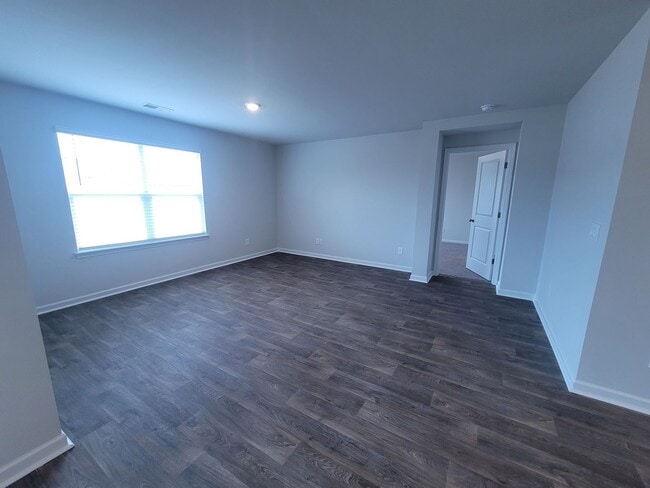 Building Photo - Welcome to our brand new 4-bedroom, 2-bathroom home located in the charming community of Castle H...