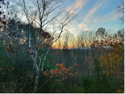 view from living room/deck - 129 Newgate Rd