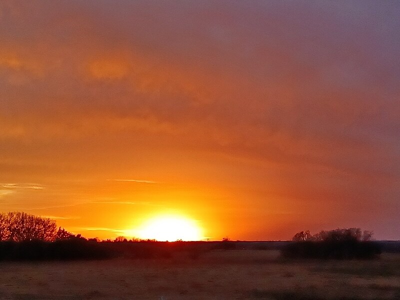 Foto principal - 3570 Vz County Rd 2602