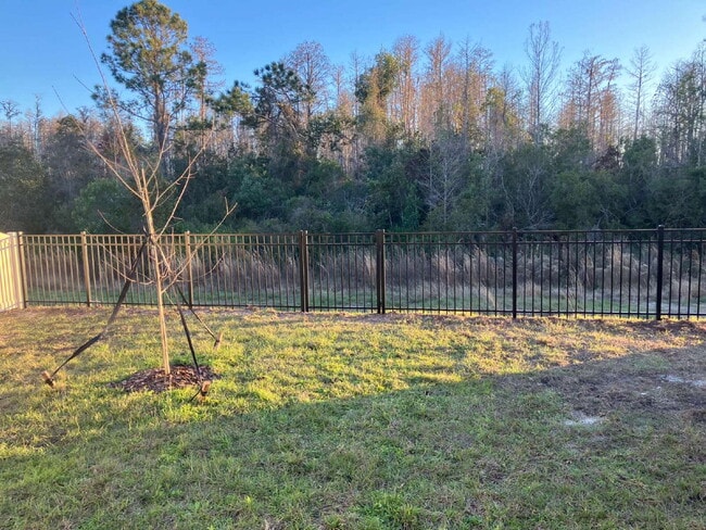 Building Photo - Charming 3-Bed Oasis with 2 Baths in Land O' Lakes – Your Ideal 1,448 Sq Ft Retreat!