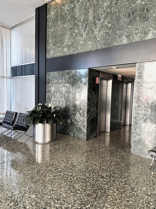 Foto del edificio - 910 N Lake Shore Dr