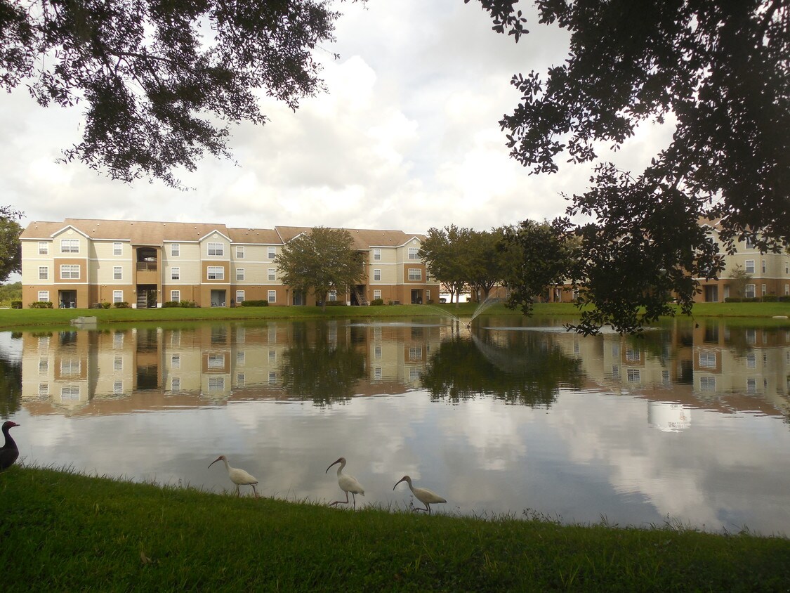Tall Timbers Apartments 1001 Fairwinds Cir Plant City, FL