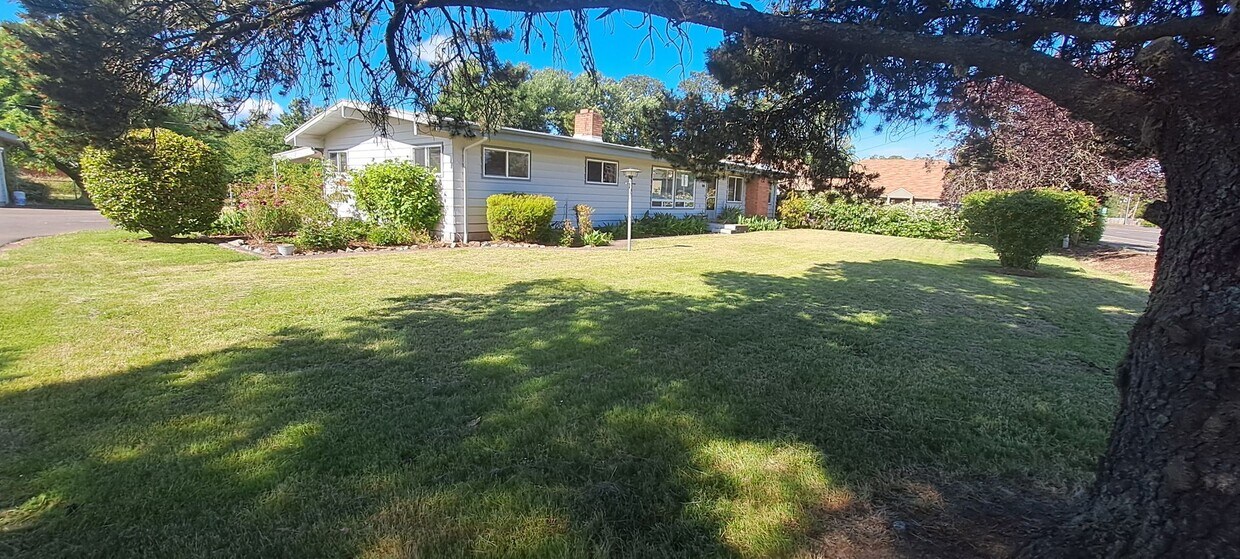 Primary Photo - BEAUTIFUL home in Philomath