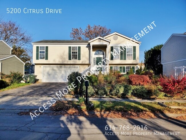 Building Photo - BRIGHT LIGHT SPACIOUS SPLIT LEVEL IN HILLI...