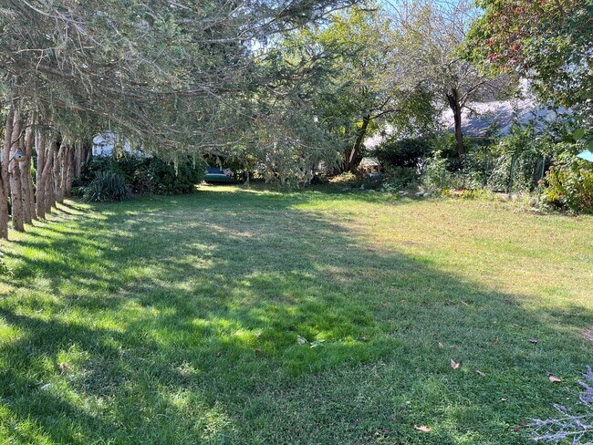 Backyard - 27 Blake Dr