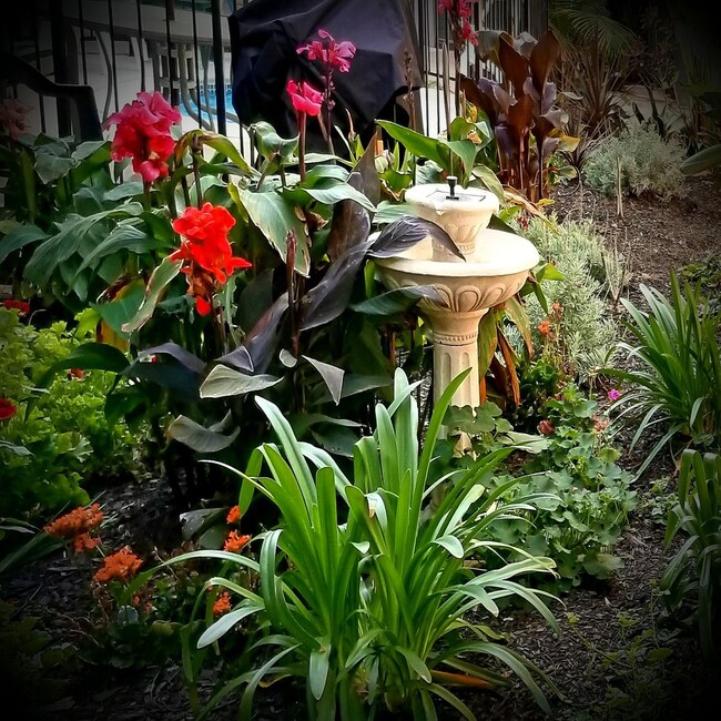 Interior Photo - Redwood Terrace