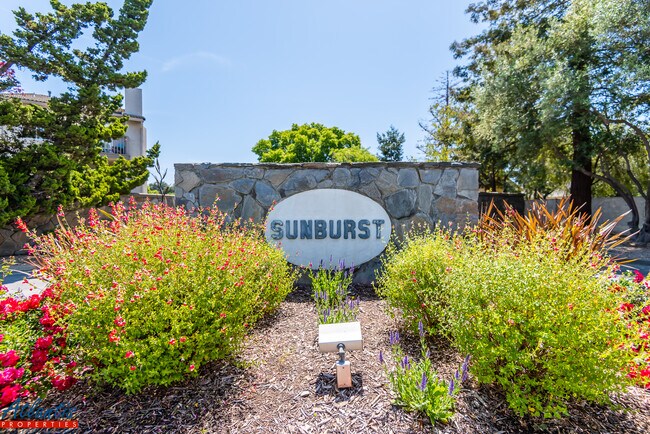 Building Photo - 2279 Sun Glory Ln