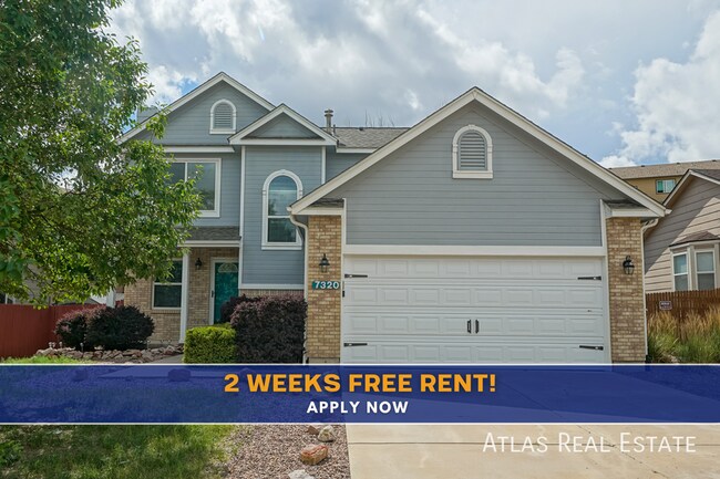 Building Photo - 7320 Allens Park Dr