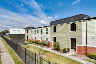 Building Photo - Montabella at Oak Forest