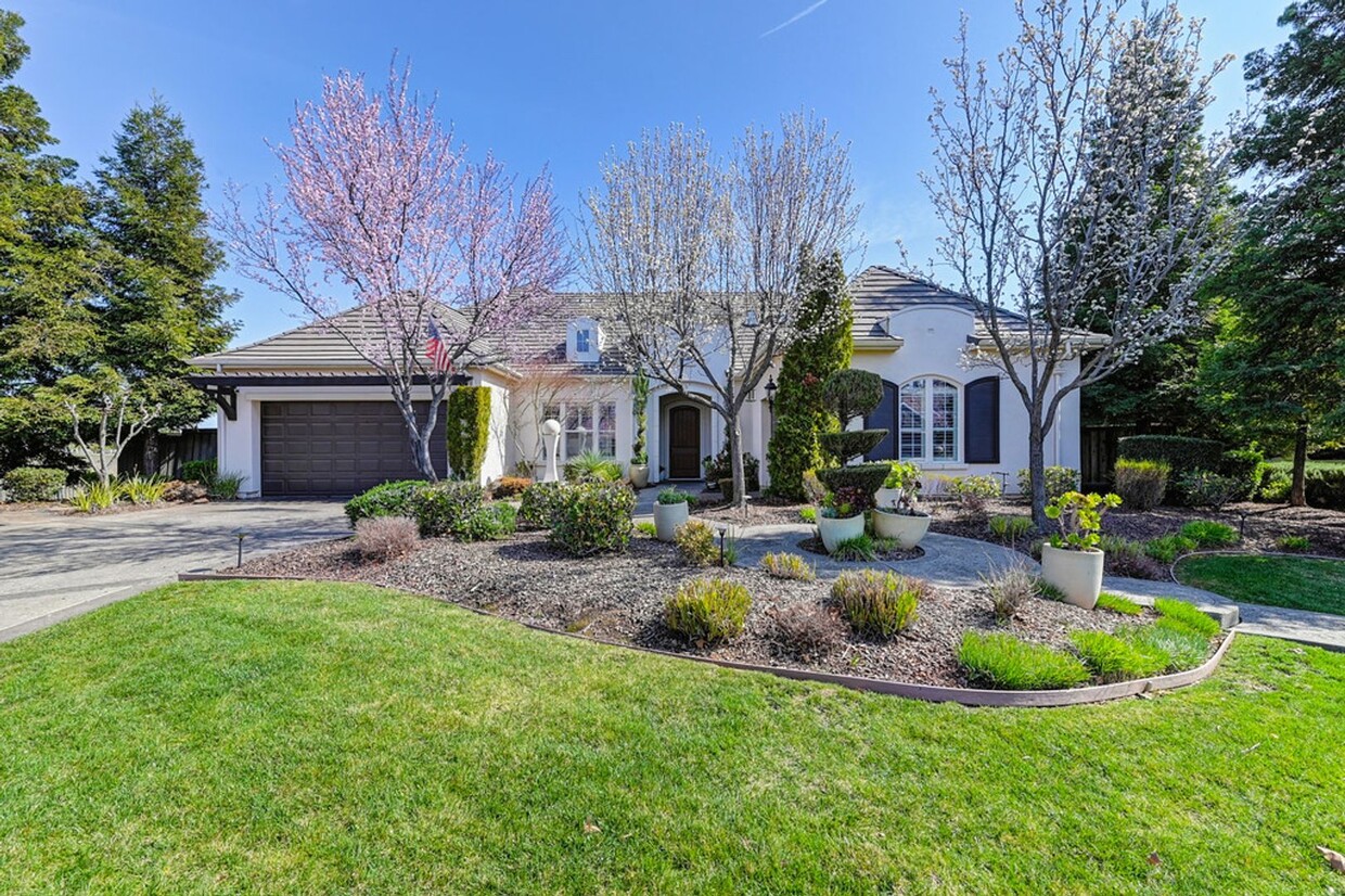 Primary Photo - Stunning luxury single story home!