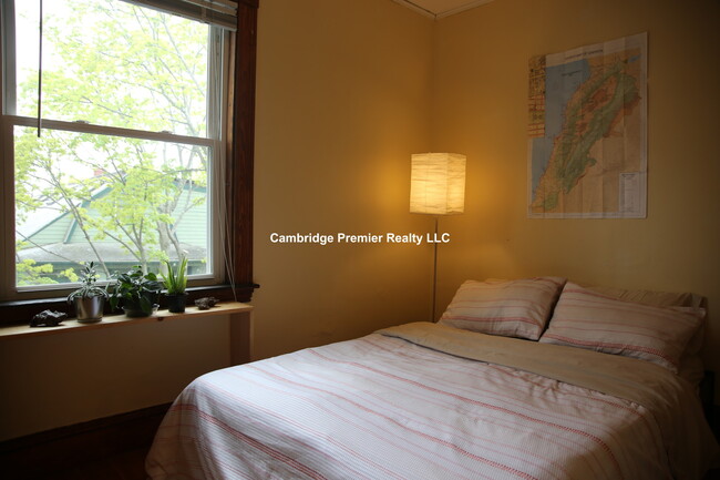 Building Photo - 35 Eustis St