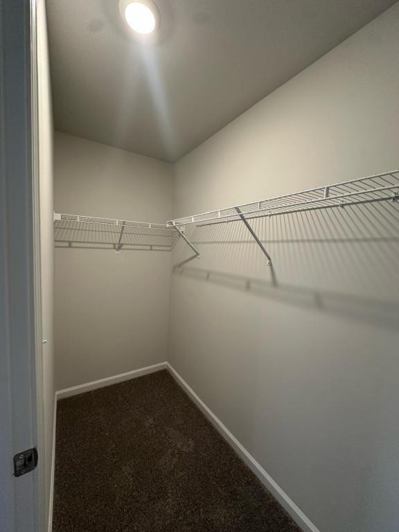 Foto del edificio - 3005 Honeymyrtle Ln