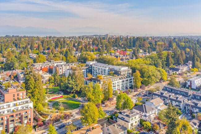 Building Photo - Shannon Mews & Apartments