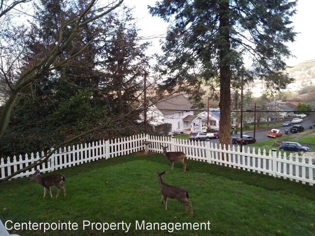 Foto del edificio - 3 br, 1 bath House - 1407 SE Douglas Ave.