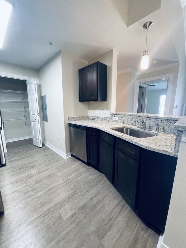 Building Photo - Belmere Luxury Apartments