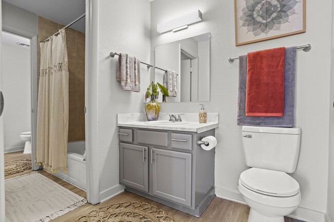Interior Photo - Regency Point Luxury Apartments