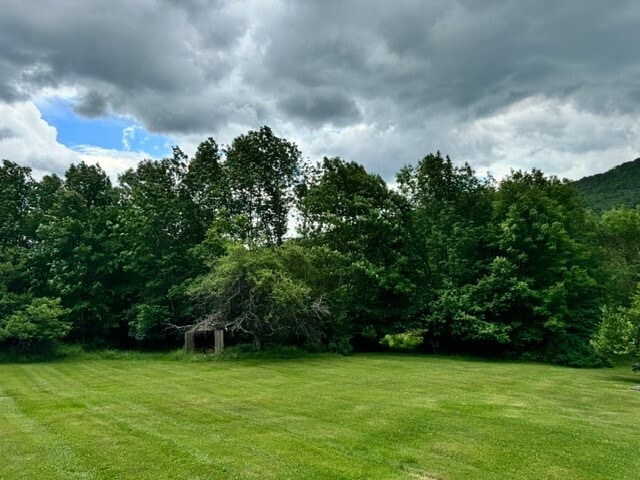 Building Photo - 228 Staab Rd