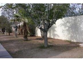 Building Photo - Mountian View Apartments