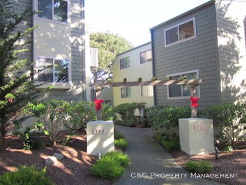 Primary Photo - AVAILABLE NOW - Large Open Concept Apartment