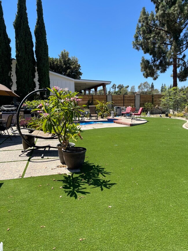 Rear yard - 5227 E Fern Haven Ln