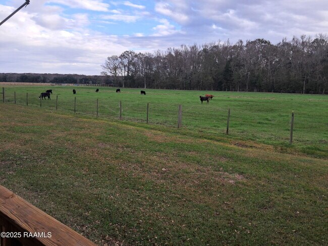 Foto del edificio - 11330 Audubon Rd