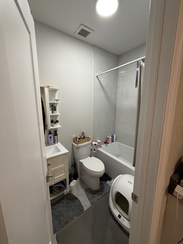 Primary Photo - Basement Bachelors Rental