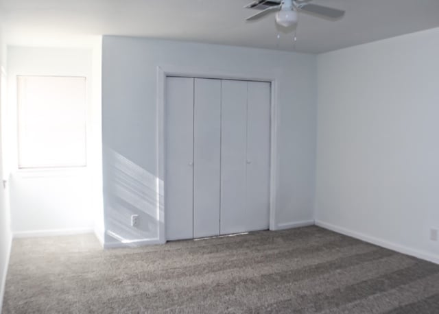 Building Photo - 12317 Cedar Springs Ln