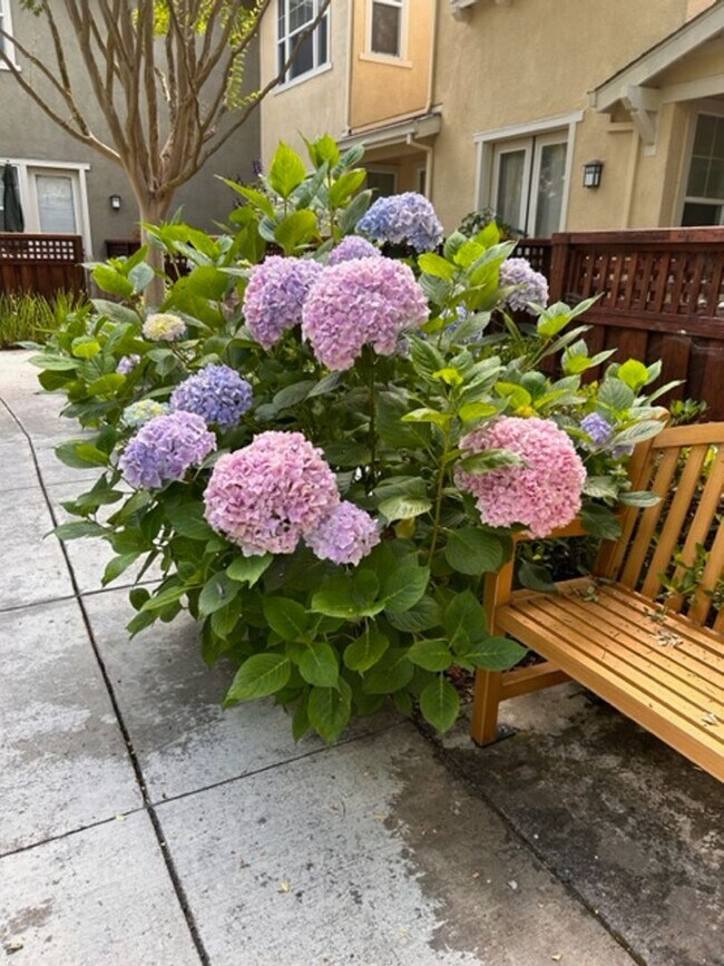 Foto del edificio - 6939 Santero Way