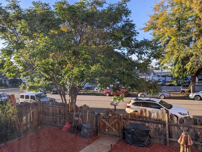 patio delantero - 146 W 3rd St